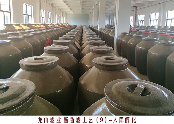 9入库醇化