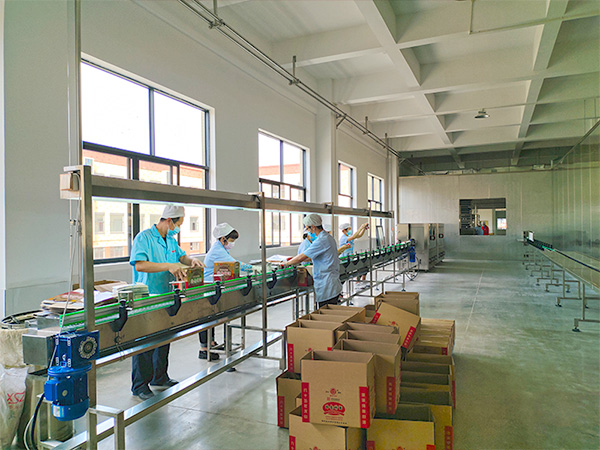 龙山酒业-包装生产线